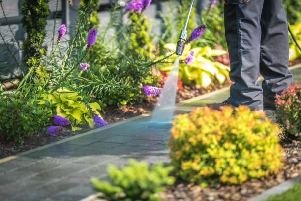 Best Deck and Patio Pressure Washing in Cactus, TX