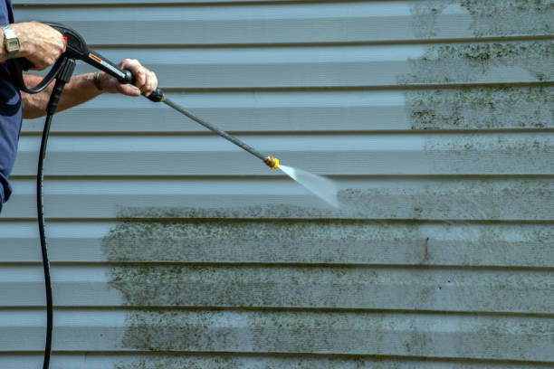 Best Graffiti Removal Services in Cactus, TX