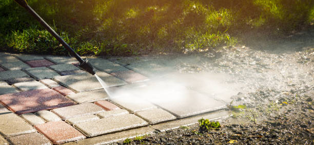 Best Soft Washing for Delicate Surfaces in Cactus, TX